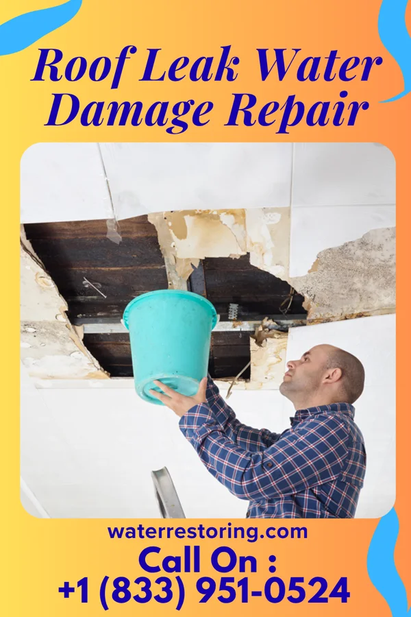 Roof Leak Water Damage Repair in Mason, TN