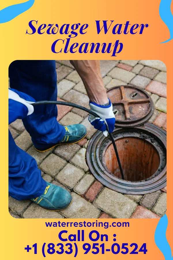 Sewage Water Cleanup in Mason, TN